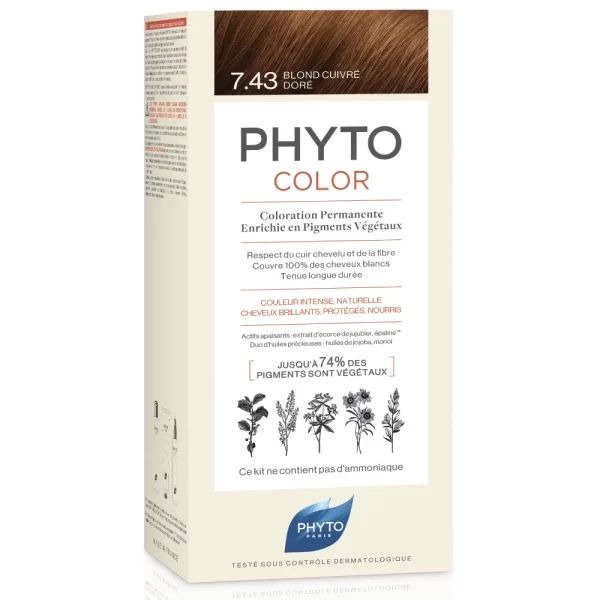 LYSKIN PHYTOCOLOR PHY00111 1